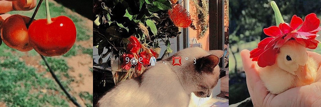 heyahoon's profile banner image