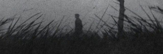 Ariyan banner