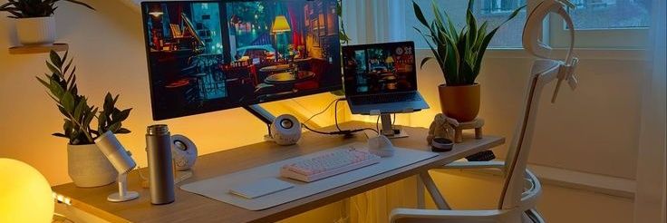 🌹𝐃𝐚𝐯𝐞𝐥𝐞𝐱𝐲𝟎𝟎𝟏🦜 banner