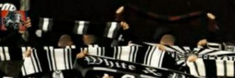 VucenovicN's profile banner image