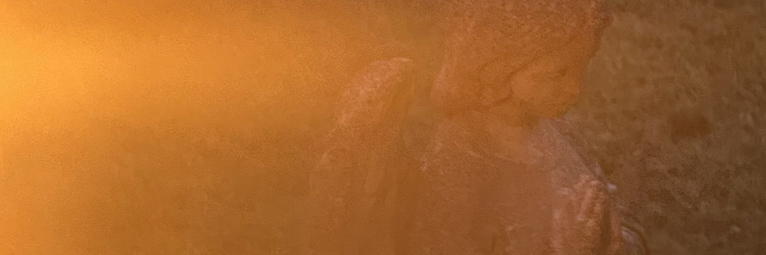 TilerDaSlime's profile banner image