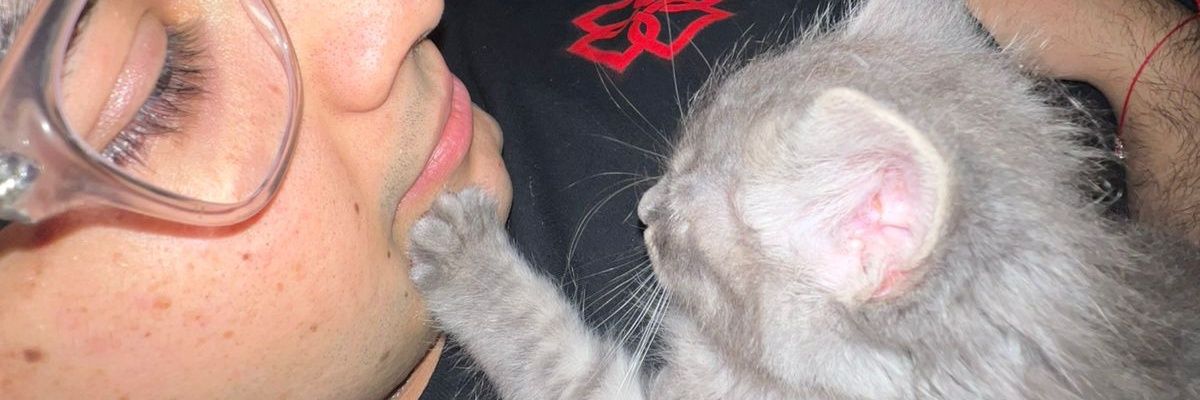Ortigozza2's profile banner image