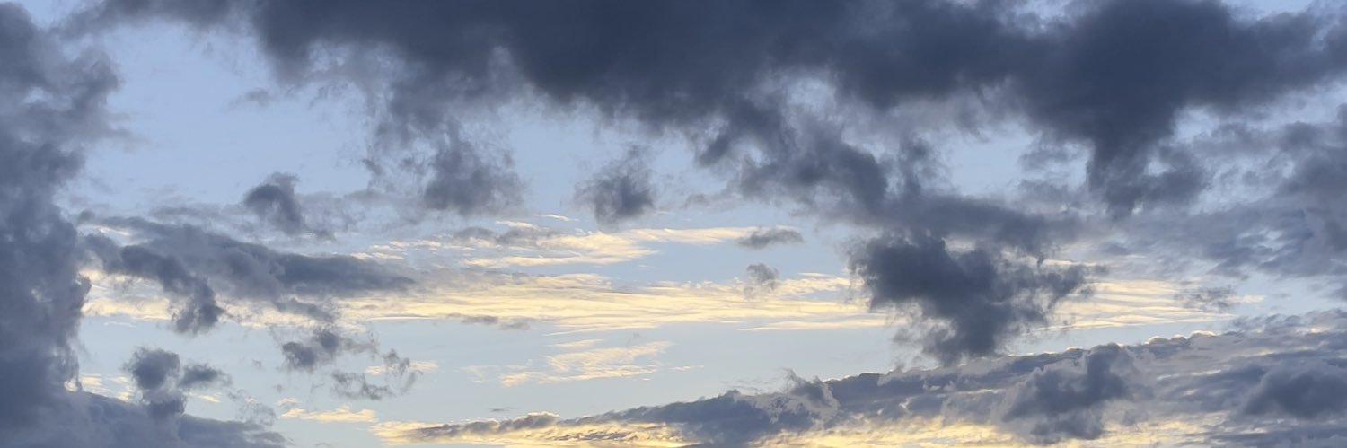 archiechan96's profile banner image