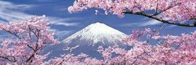 🌸えこ☆(なぞなぞ処えこ茶房部長) banner