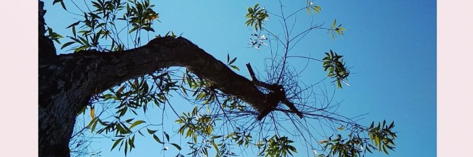 dewikk_DK's profile banner image