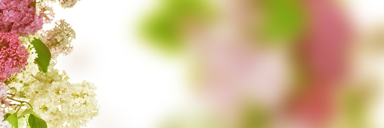 Pere Serra| ETHGas ⛽ banner