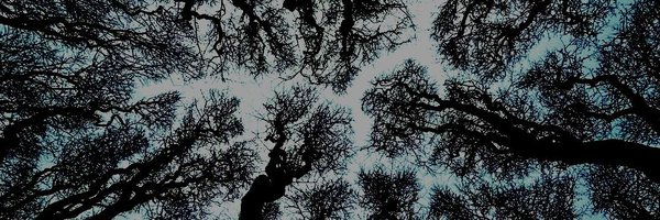 RustyBertrand Profile Banner