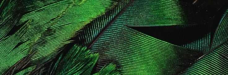 Edwin_Gongora's profile banner image
