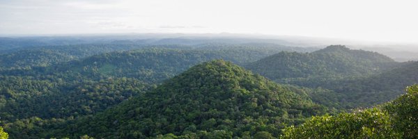 AntoineGuiguet Profile Banner