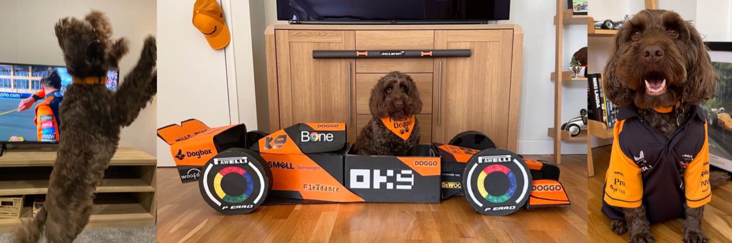 McLaren Doggo's banner