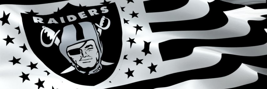 ☠️RaiderSmiley☠️ banner