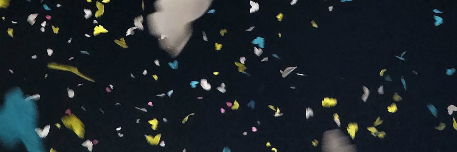 ae_lv1n's profile banner image