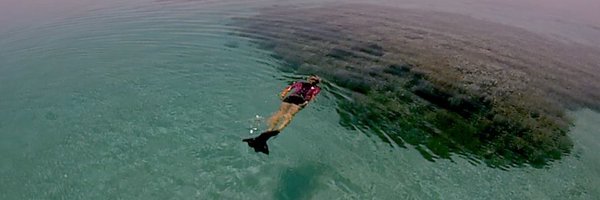 _seachange Profile Banner