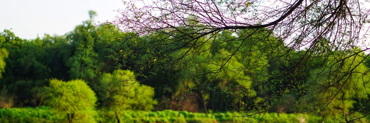 Samir Makwana (Not Active Here) banner