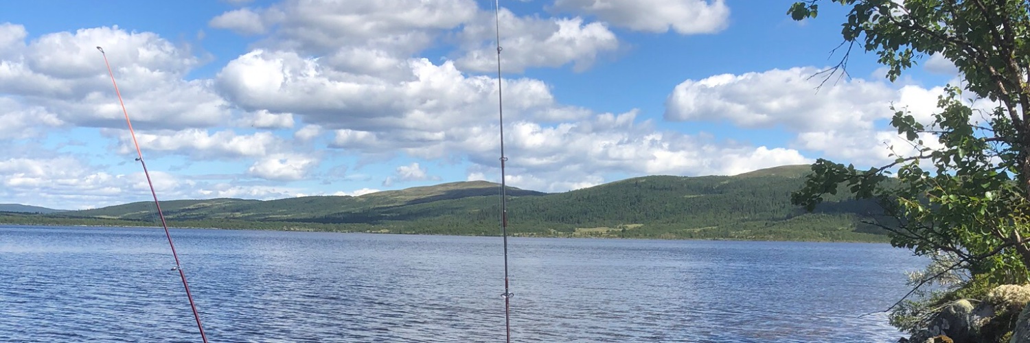 EVatningen's profile banner image