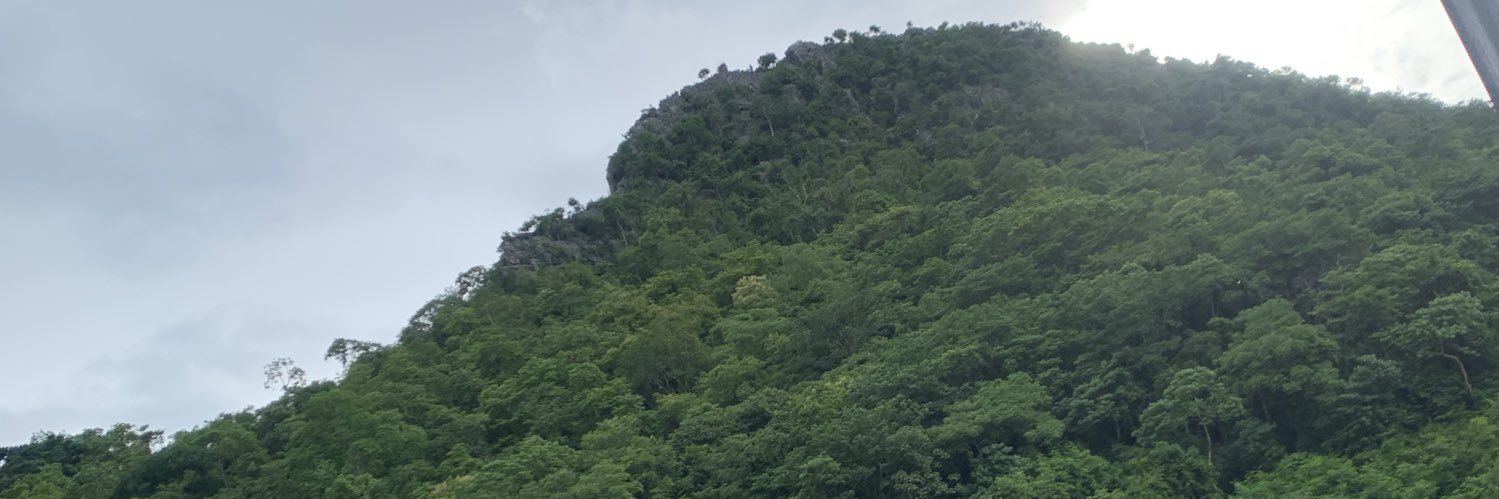 Chompoo65675870's profile banner image