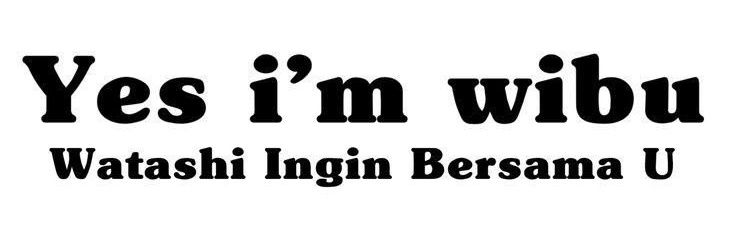 jung🍪 banner