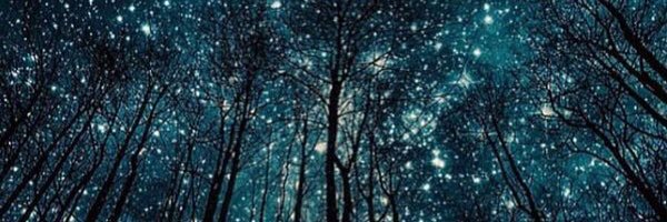mirprins's profile banner image