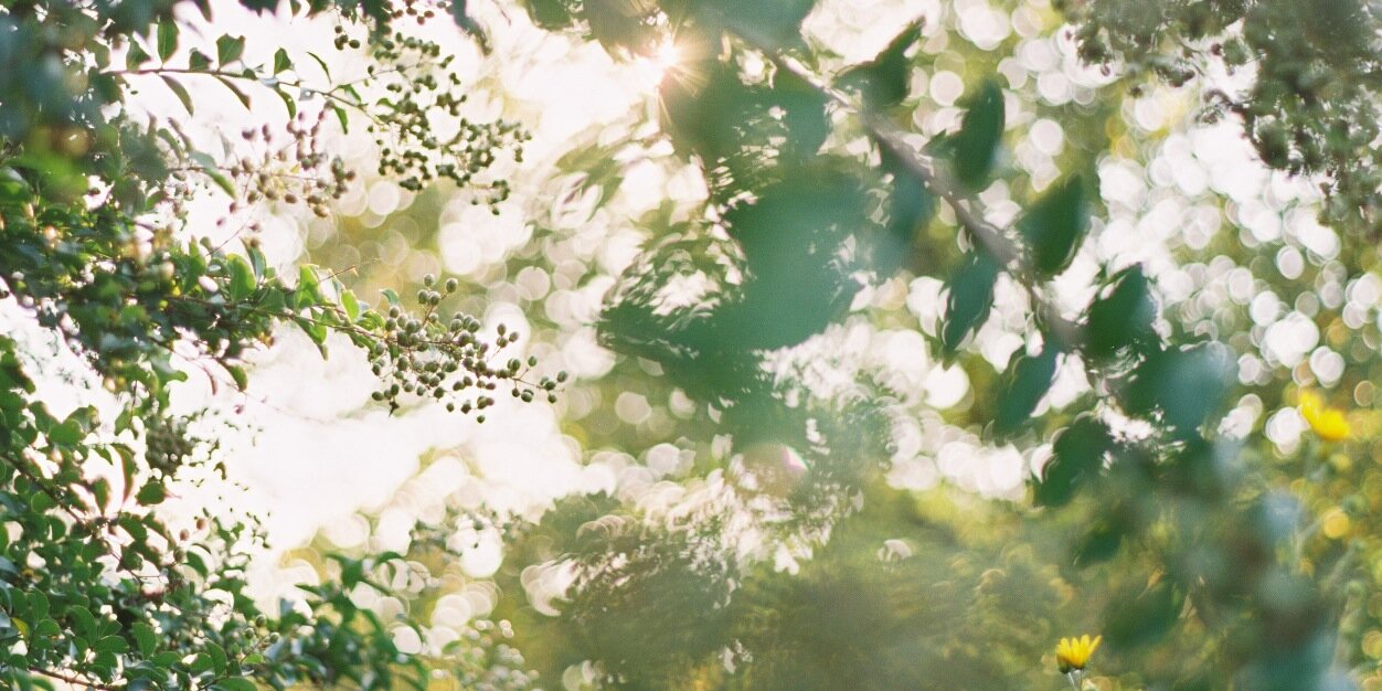ameliaphotodc's profile banner image