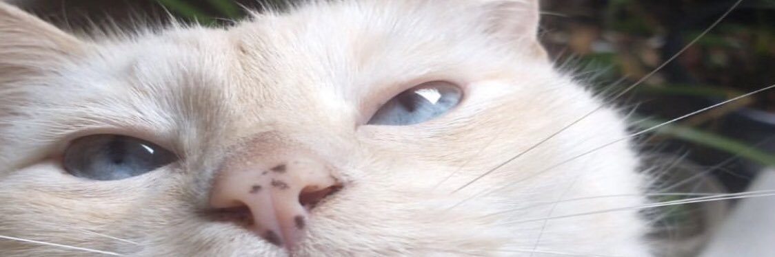 ketleenzz's profile banner image