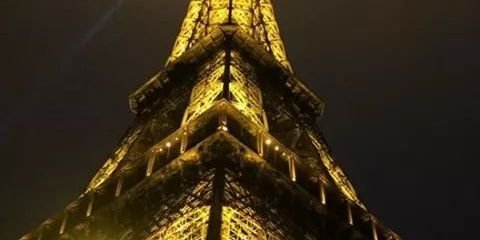 Ana Fierro banner