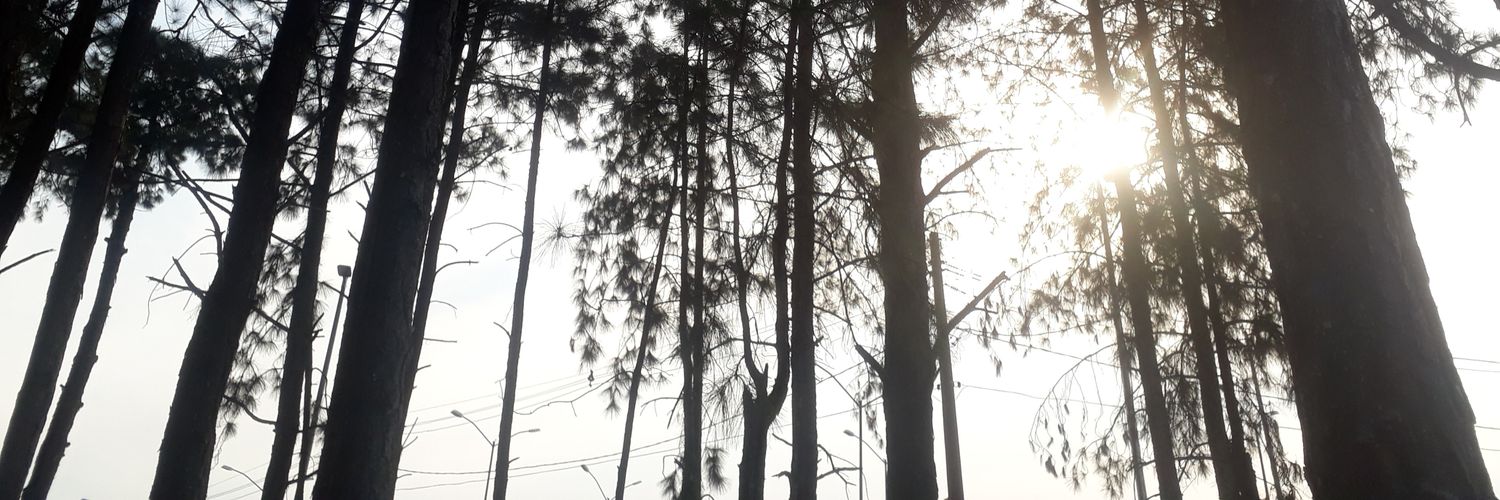 Flavyndan's profile banner image
