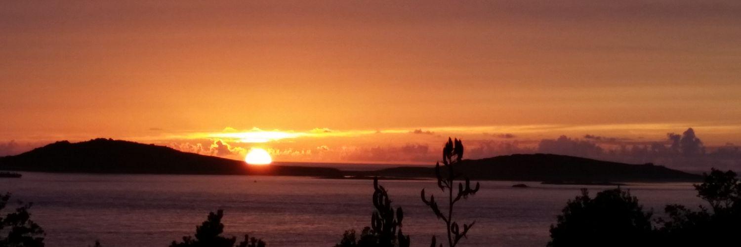 susie roach 💙 🌈 banner