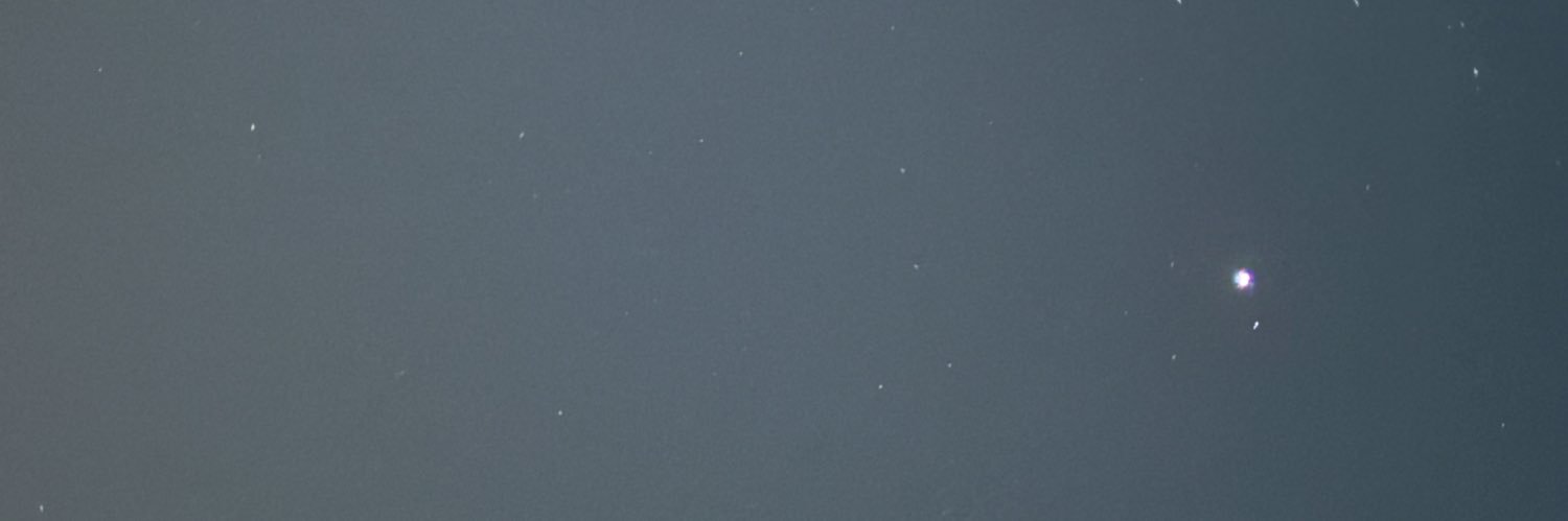 ritafelizardo_'s profile banner image