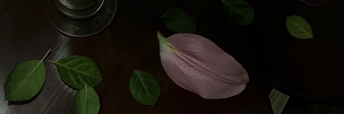 zamohd0's profile banner image