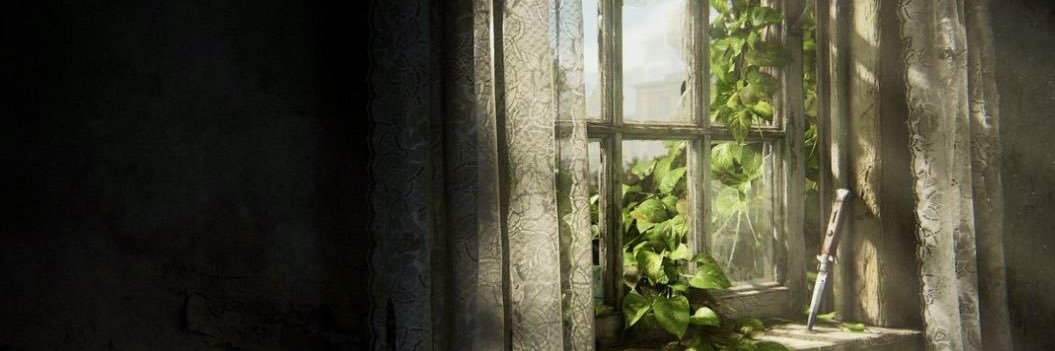 🦋 banner