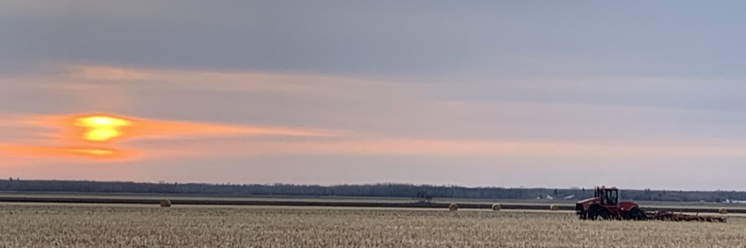 alishanickel's profile banner image