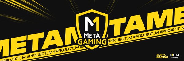 MetaGamingpy Profile Banner