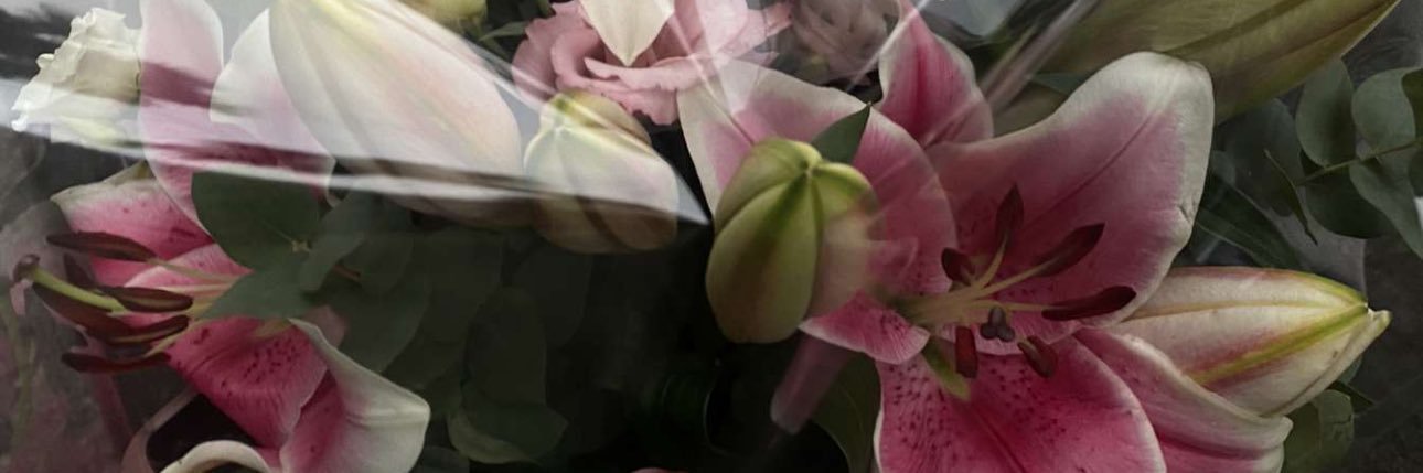 lvuurv_'s profile banner image