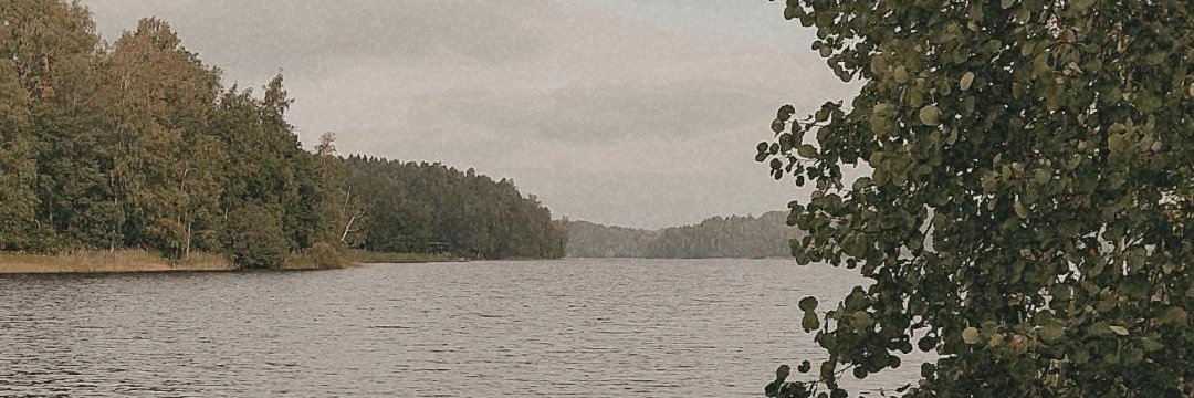 PilviTuulia's profile banner image