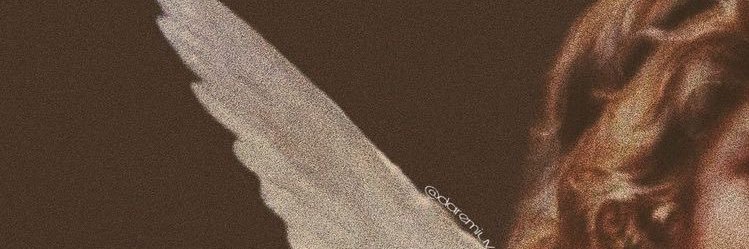 Silvana banner