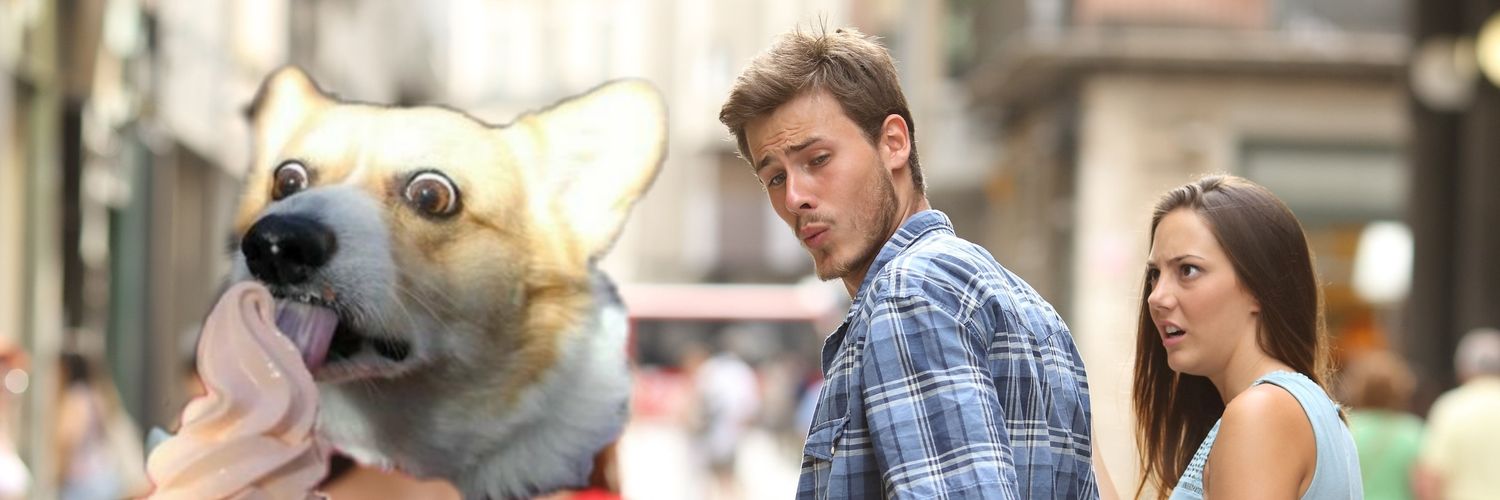 corgo banner