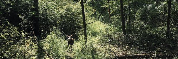 EliseWiley7 Profile Banner