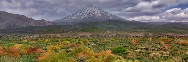 Seyyed Amir Asghari Profile Banner