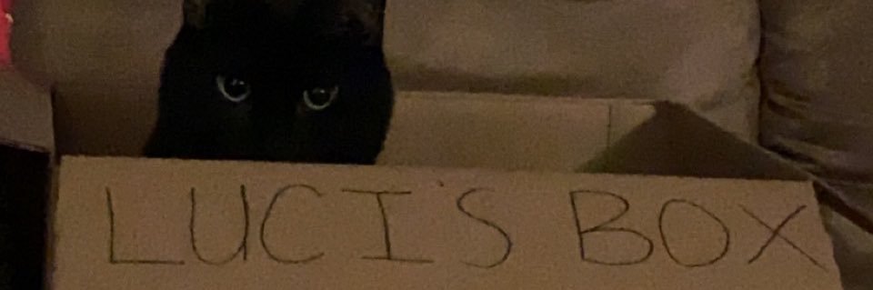 laceyjane1313's profile banner image