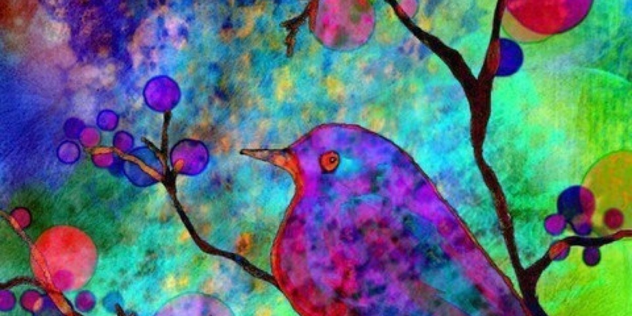 carooltje13's profile banner image