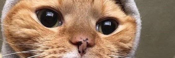 melihkka's profile banner image
