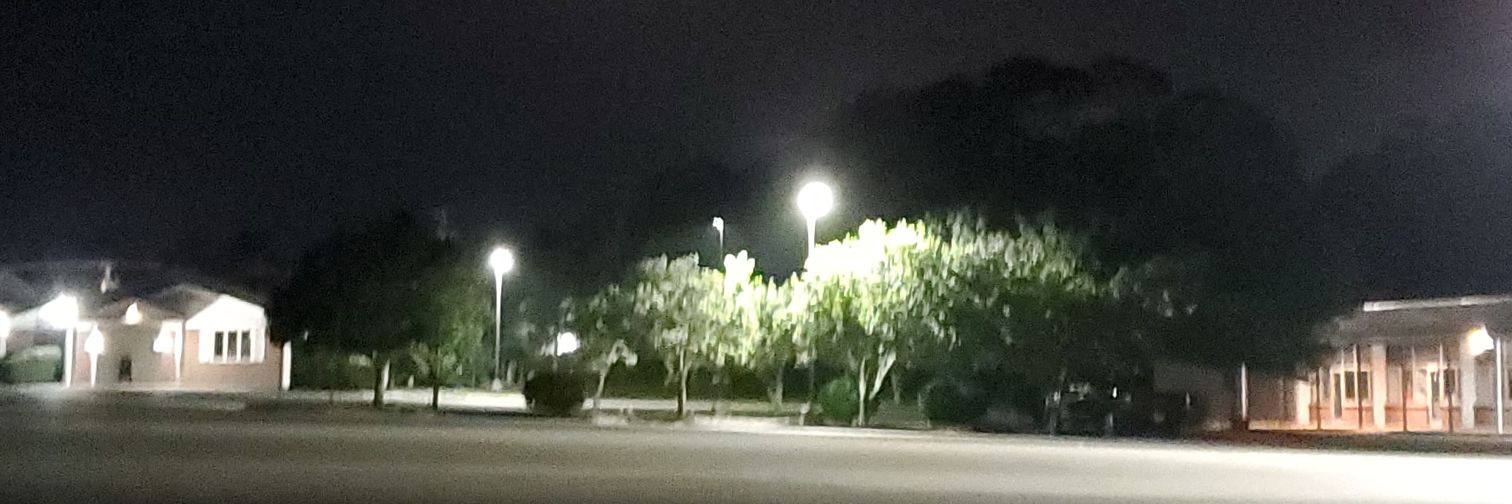 archive / julpie banner