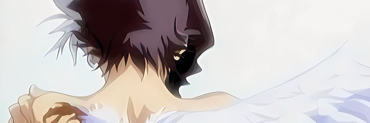 redssii banner
