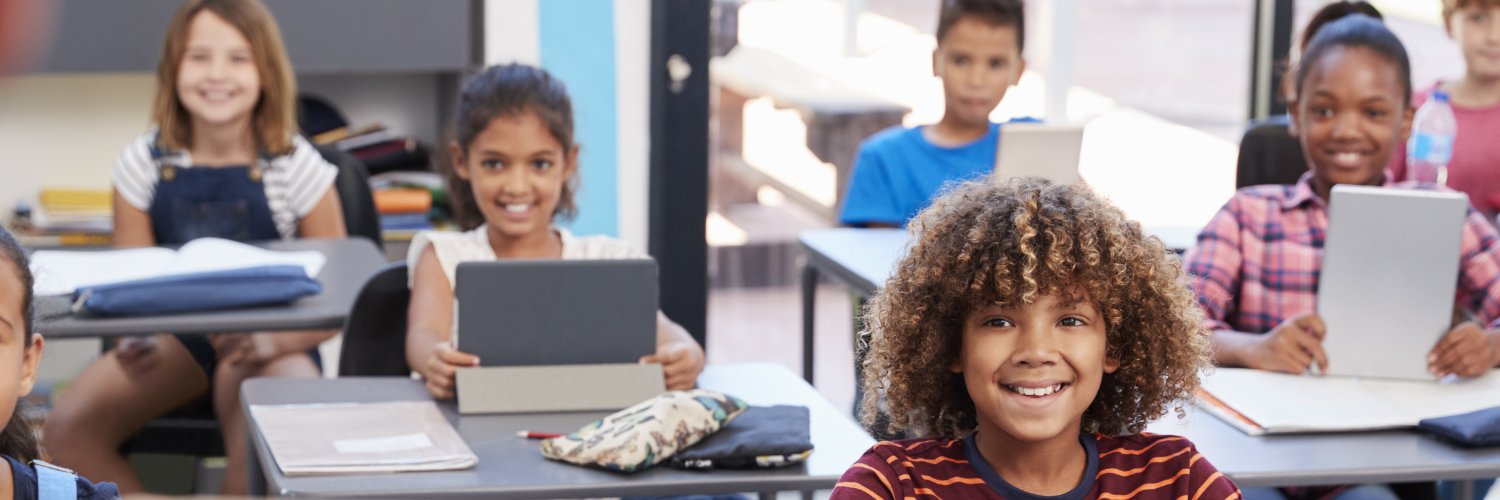 PATINS Project banner