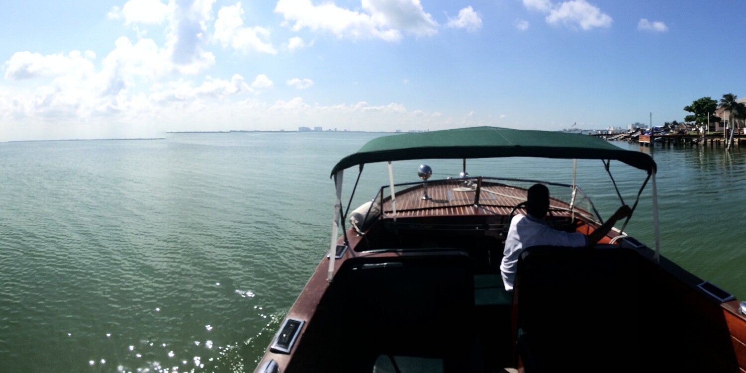 Molly-Anne Eccles banner