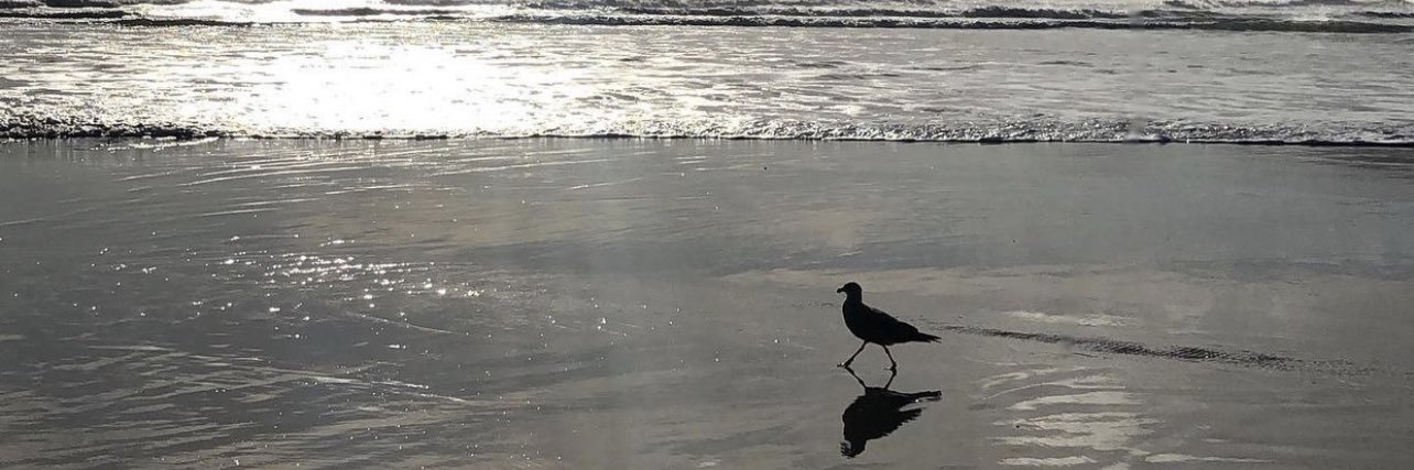 norlightt's profile banner image