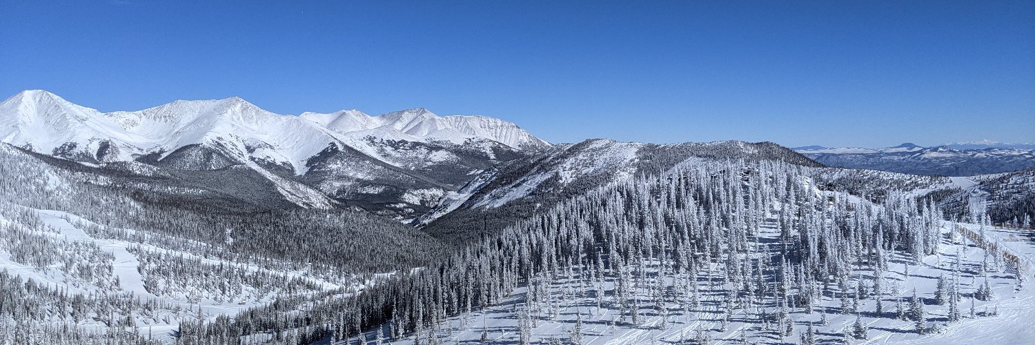 Matthew Neigh banner