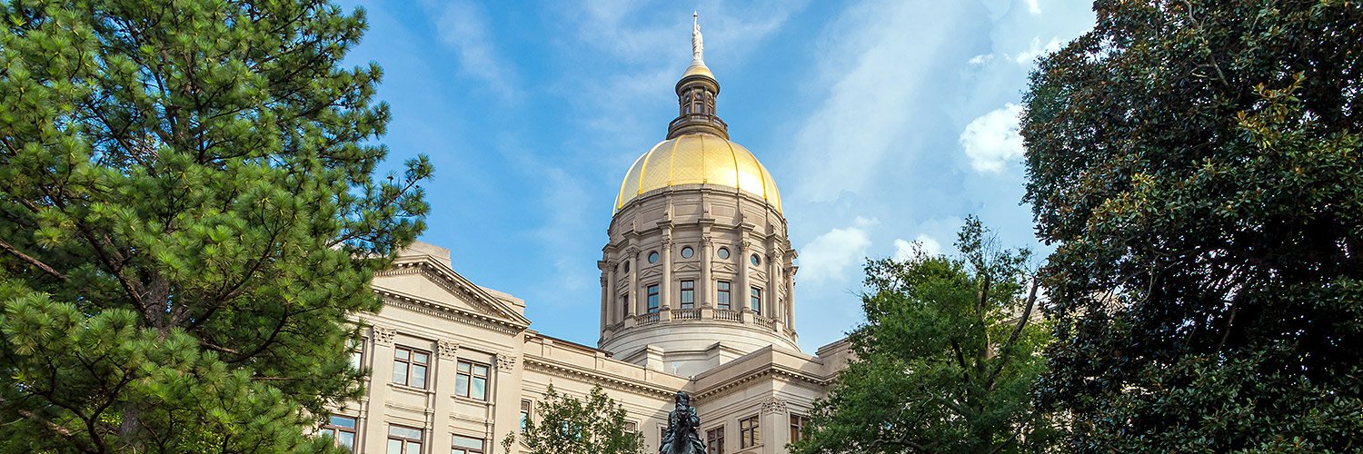 Everything Georgia's banner