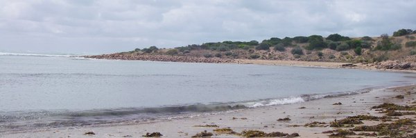 ecosystem_lab Profile Banner