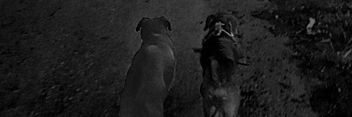 JossMelgoza's profile banner image
